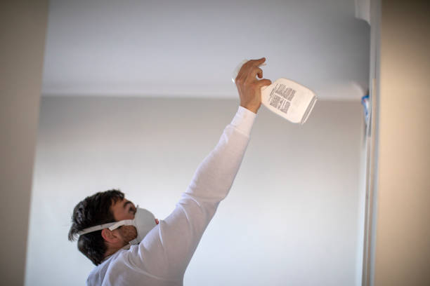 Best Mold Inspection  in Buhl, MN